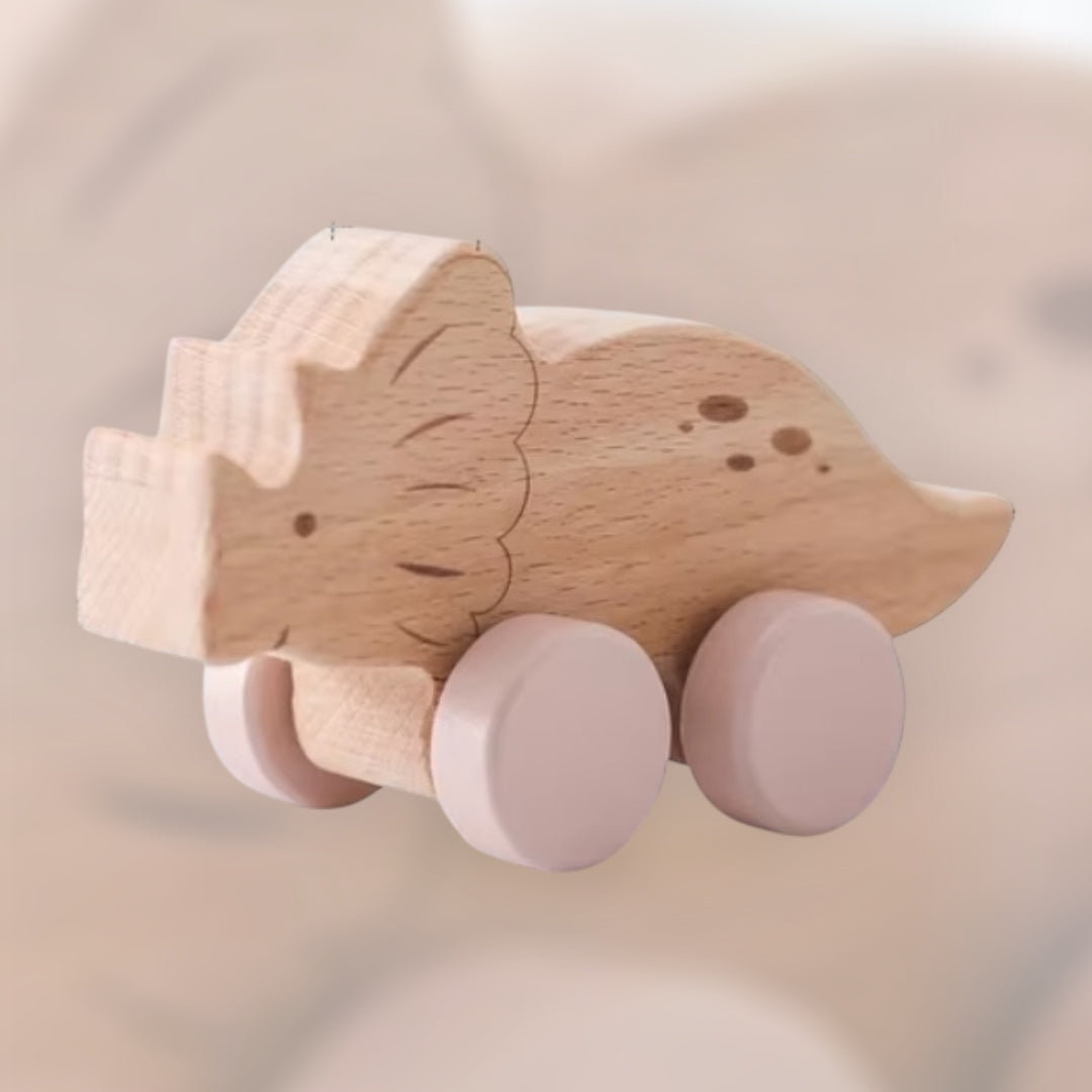 Dinosaures d'éveil en bois